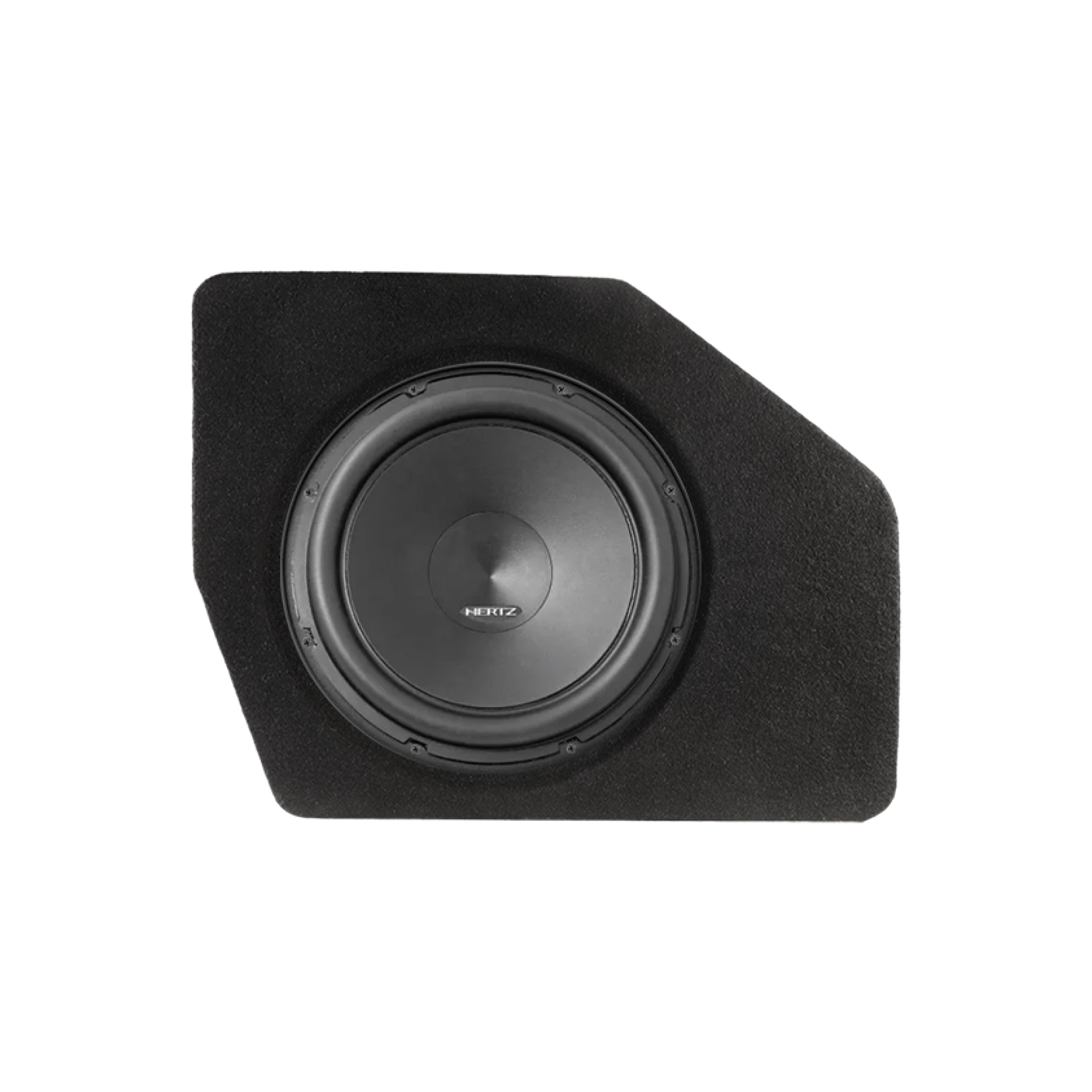 Speaker & Subwoofer Installation