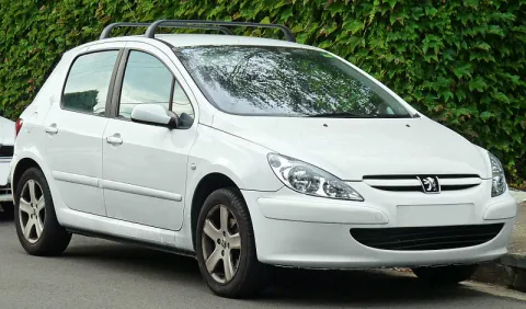 Peugeot 307 2001-2005 T5