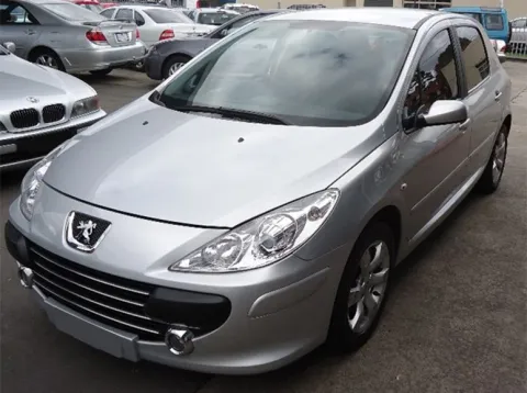 Peugeot 307 2005-2009 T6